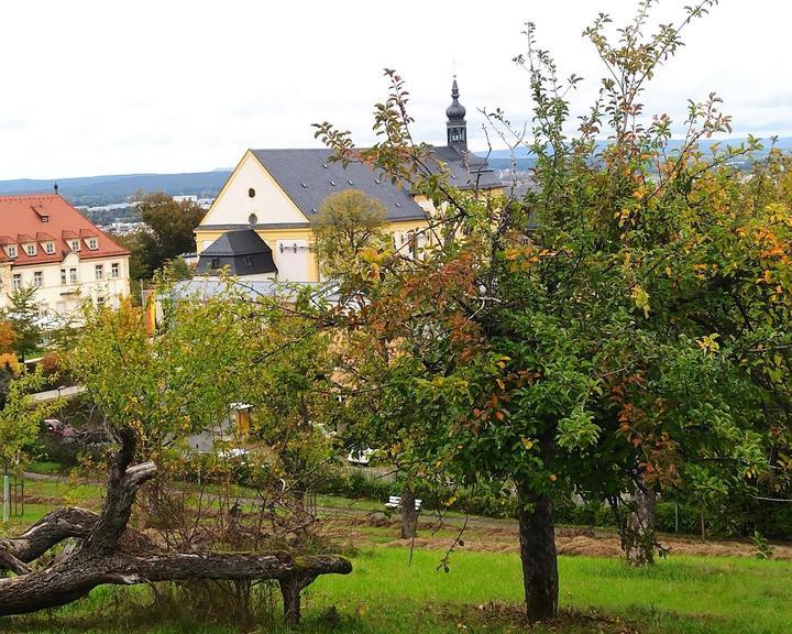 Cafe Villa Remeis Bamberg